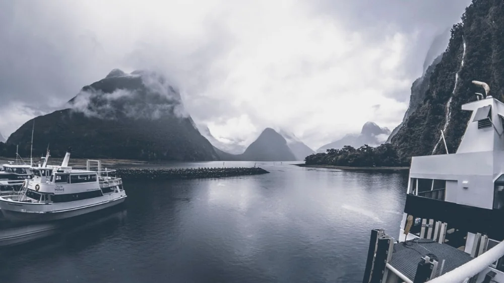 Milford Sound Nature Cruise