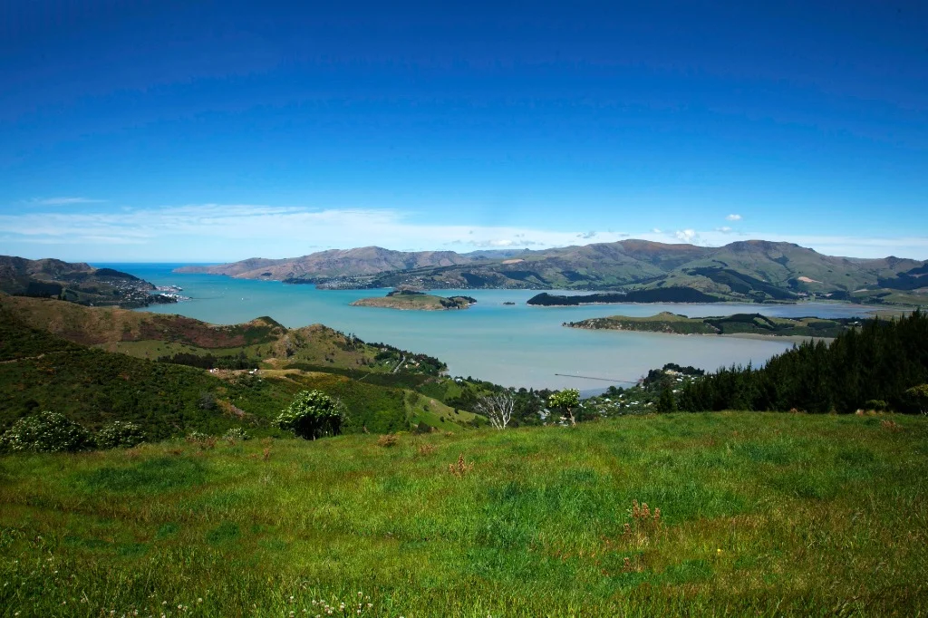Akaroa & Banks Peninsula Historic French Colony Tour - South Island Scenic Tours